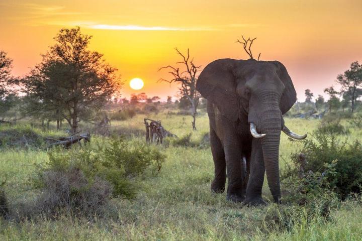 Zuid-Afrika — van Kaapstad tot safari, een reis vol contrasten