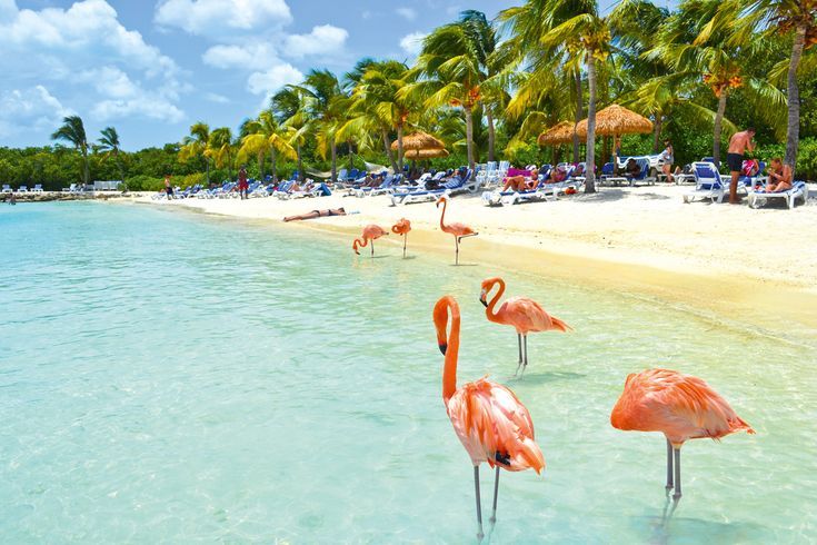 Aruba — witte zandstranden, turquoise zee & Caribische charme