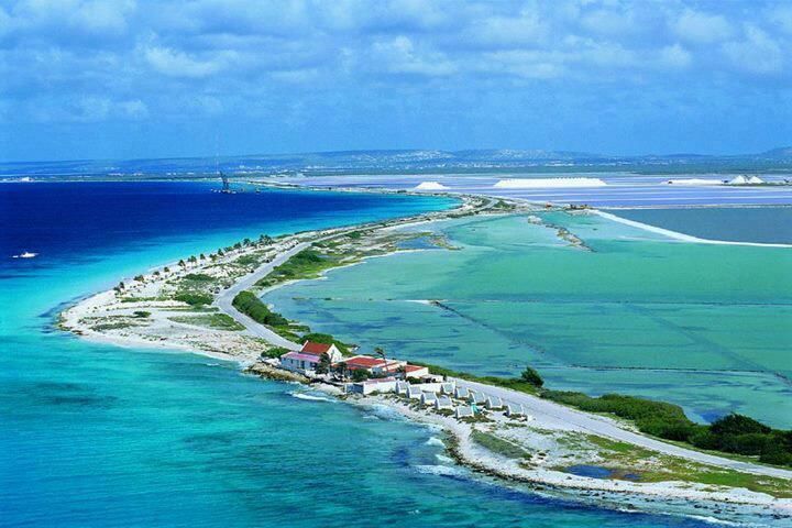 Bonaire — kristalheldere zee, kleurrijke onderwaterwereld & ongerepte natuur