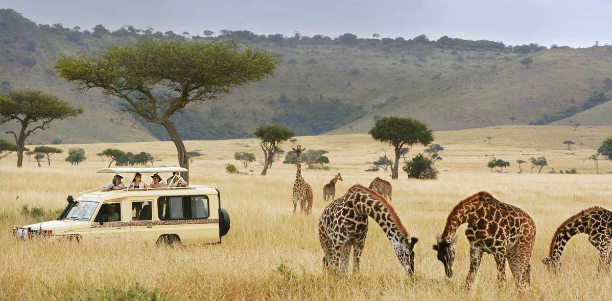 Safari en avontuur