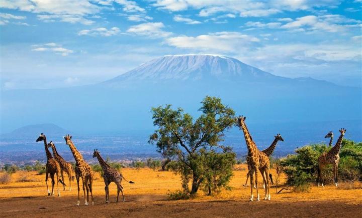 Kenia